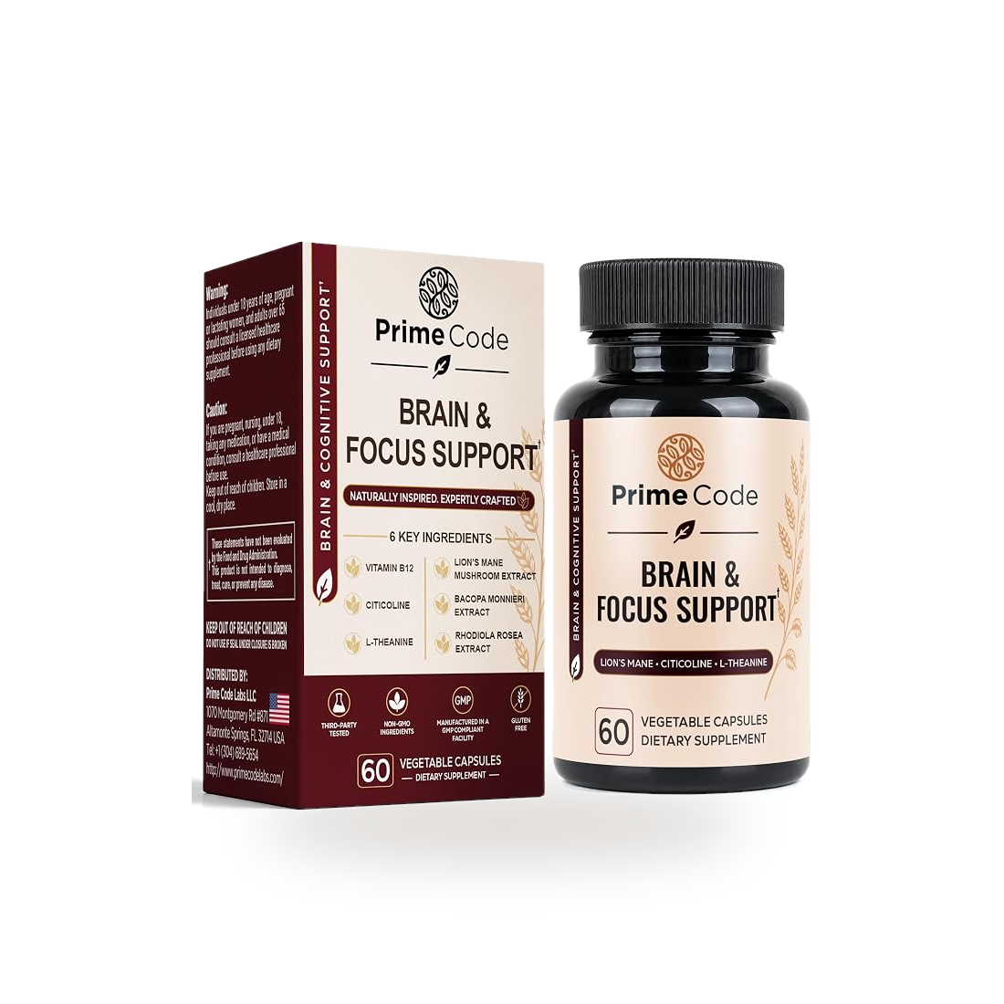 Brain & Focus